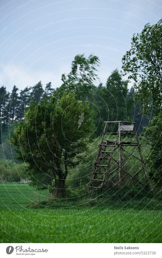 Old wooden watch tower in the middle of a field with green trees architecture background beautiful blue cabin countryside day environment europe forest grass