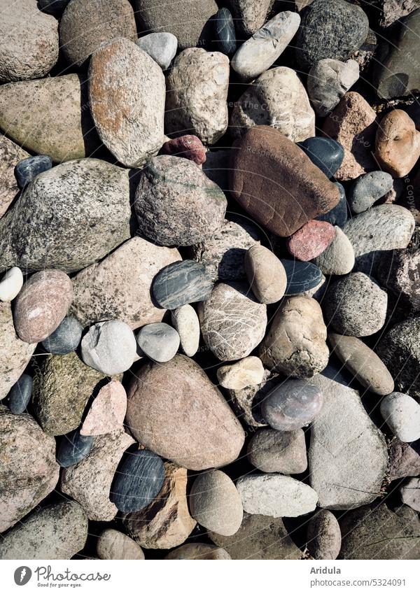 Stone | Collection stones Gray Brown pebble Rock garden