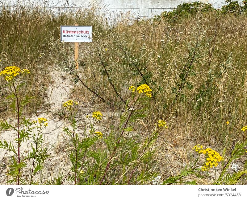 Coastal protection / Trespassing prohibited Landscape No trespassing Nature Marram grass North Sea Prohibition sign duene Agricultural crop coastal protection