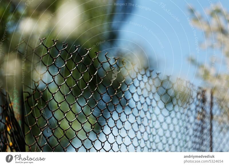 Rusty old mesh cage in garden with green trees and blue sky as background. Steel iron metal fence with wire mesh at backyard, security border. Blurred view of the countryside. Security border grille