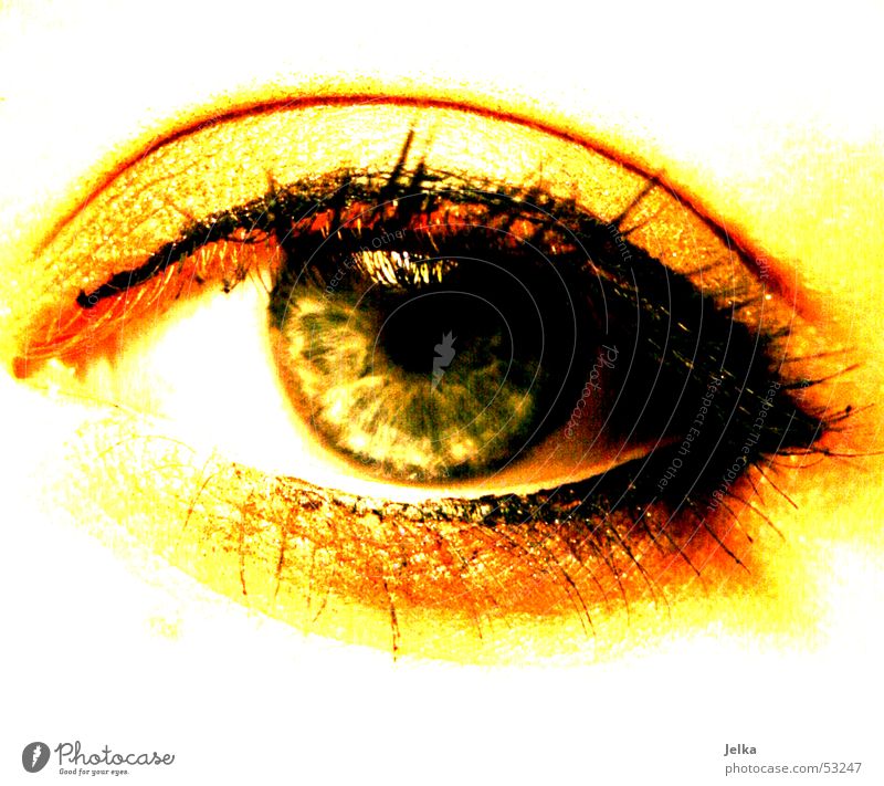 a feast for the eyes Make-up Mascara Eyes Green Eyelash Wearing makeup Colour photo Women's eyes Pupil Yellow Gold 1 Eyeliner Close-up Detail Eye colour