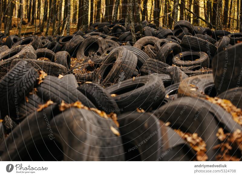 Old car wheels in autumn park with fallen leaves. Pile of used rubber car tires on the ground outdoors at scrapyard. black garbage automobile heap old warehouse