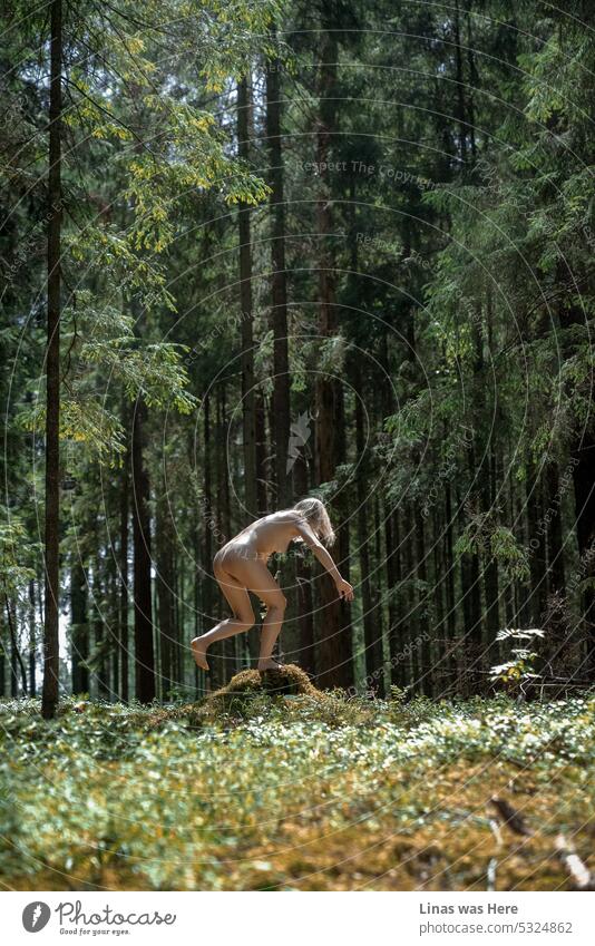 These woods are roamed with gorgeous wild and naked creatures. Just like this nude blonde girl who is fooling around in the wilderness. A sunny summer day and a sexy beauty in a forest.