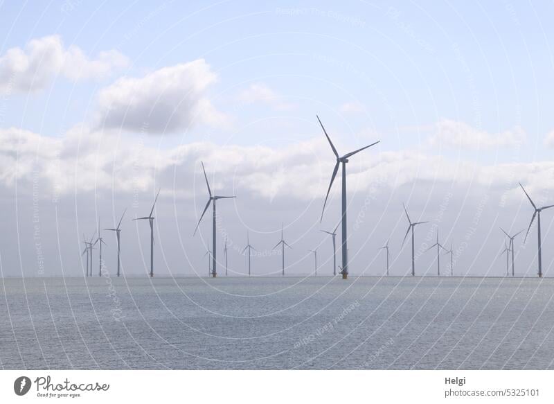 Wind farm in the Ijsselmeer wind farm offshore wind farm Pinwheel Many Wind energy plant Power Generation Power generation Renewable energy Electricity