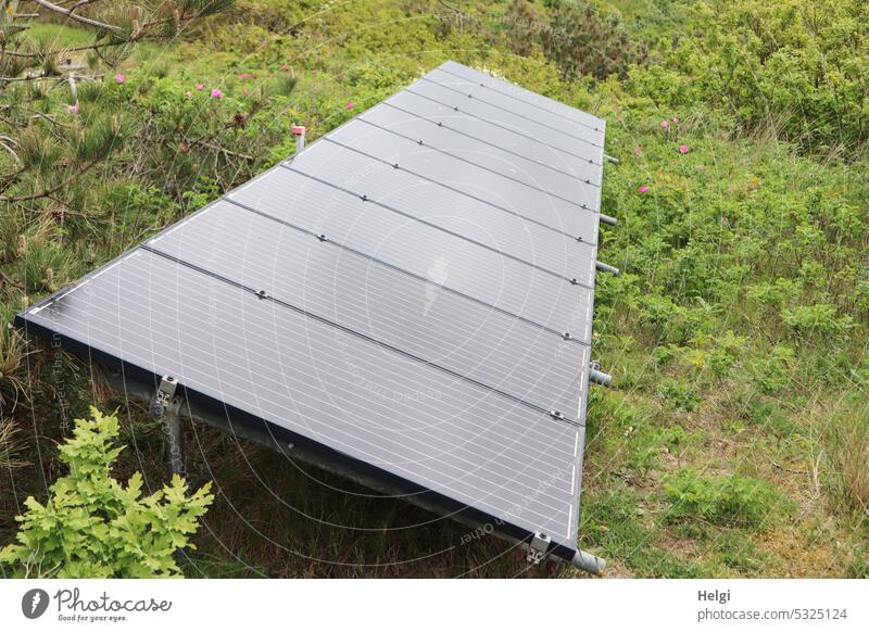 Solar plant in the dunes Solar system photovoltaic system solar panel Energy Energy generation Solar Power Netherlands dutch Solar Energy photovoltaics