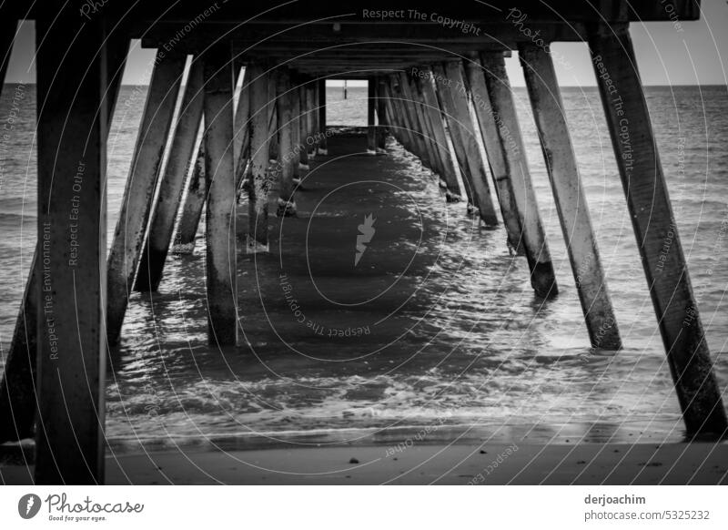 Under the Brigton Jetty . Footbridge Clouds Sun Ocean Vacation & Travel Summer Water Wooden stake Exterior shot Beach Far-off places coast Beautiful weather Day