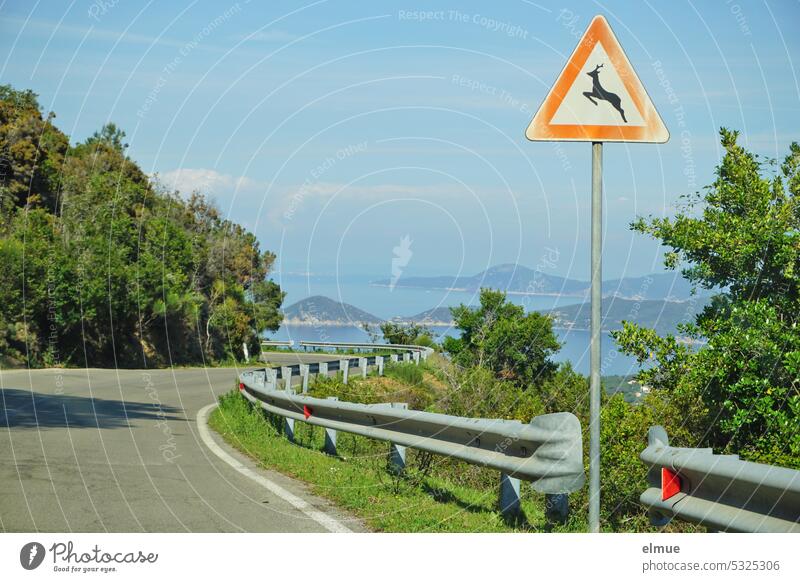 winding road on Elba with a road sign - game crossing - , guardrails, trees and bushes on the side of the road and a view of the island Road sign Deer crossing