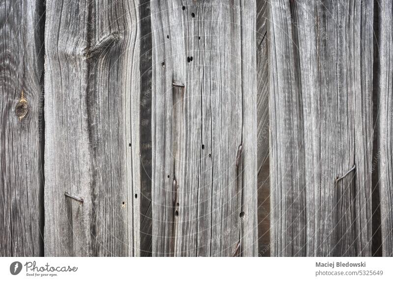 Close up photo of old wooden door, background or wallpaper. plank timber pattern texture rough weathered retro grunge hardwood vintage aged rustic antique