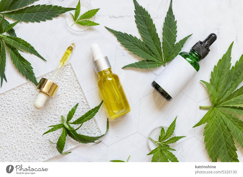 Cosmetic dropper bottles with blank label near green cannabis leaves. Mockup cosmetic mockup cream cbd nature top view Brand packaging eco frienly serum oil