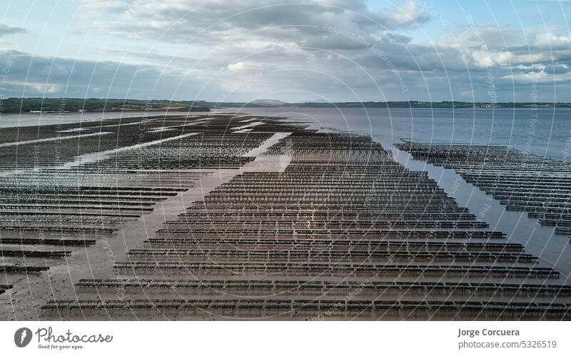 Oyster farming and oyster traps, floating mesh bags. Drone Aerial View Woodstown beach, Waterford, Ireland aerial agriculture algae aquaculture bed coast