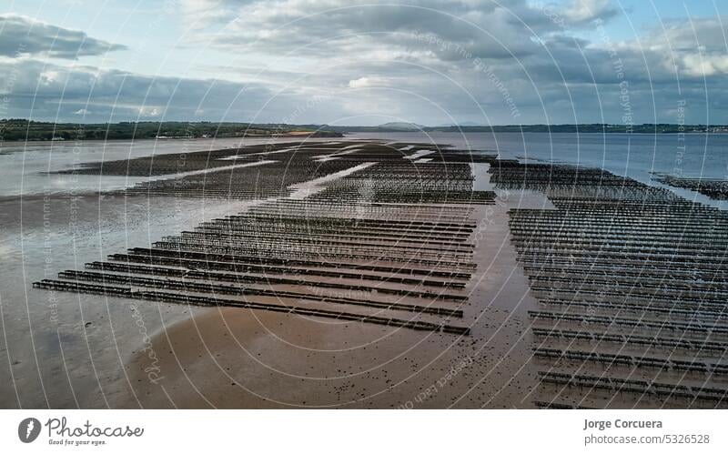 Oyster farming and oyster traps, floating mesh bags. Drone Aereal View Woodstown beach, Waterford, Ireland aerial aerial view agriculture bed coast coastal