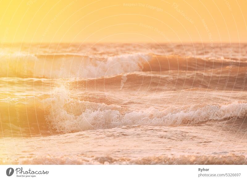 Riplpe sea ocean water surface with small waves. Close up of sea foam from breaking wave. Natural sunset sky warm colors. Beautiful nature seascape aqua