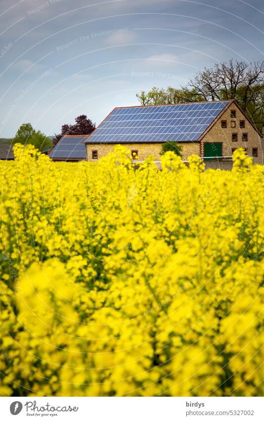 Farm with photovoltaic system behind a blooming rape field PV system photovoltaics Solar Energy regenerative energy Renewable energy Climate protection