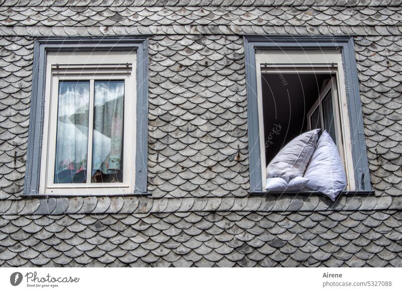 MainFux | Mother Hulda does not feel like it Facade Window Quilt Open Ventilate House (Residential Structure) Living or residing Flat (apartment) Slate