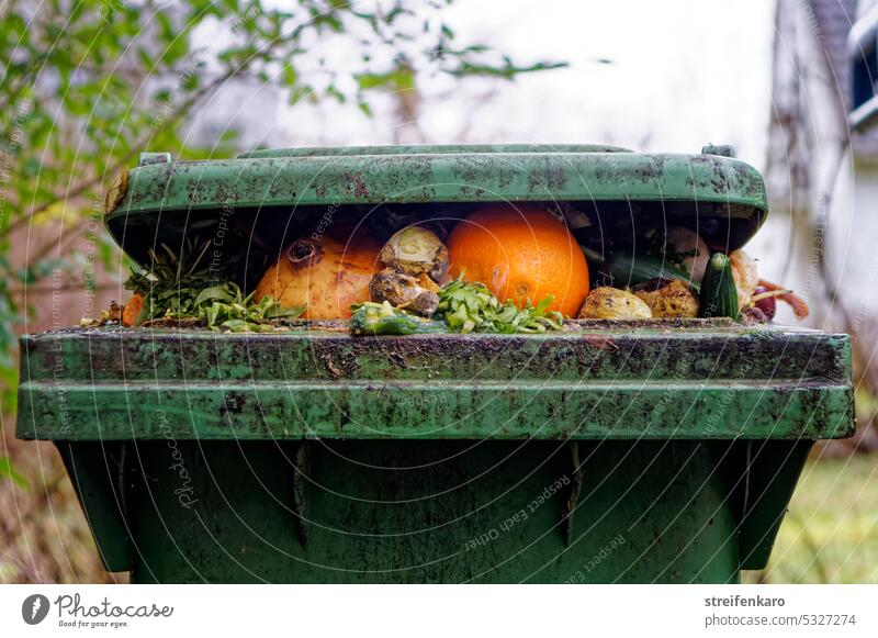 Off to the organic waste garbage can! organic waste bin Biogradable waste dustbin Spoiled Old Inedible rotten fruit Vegetable Orange Pomegranate Celery Cucumber