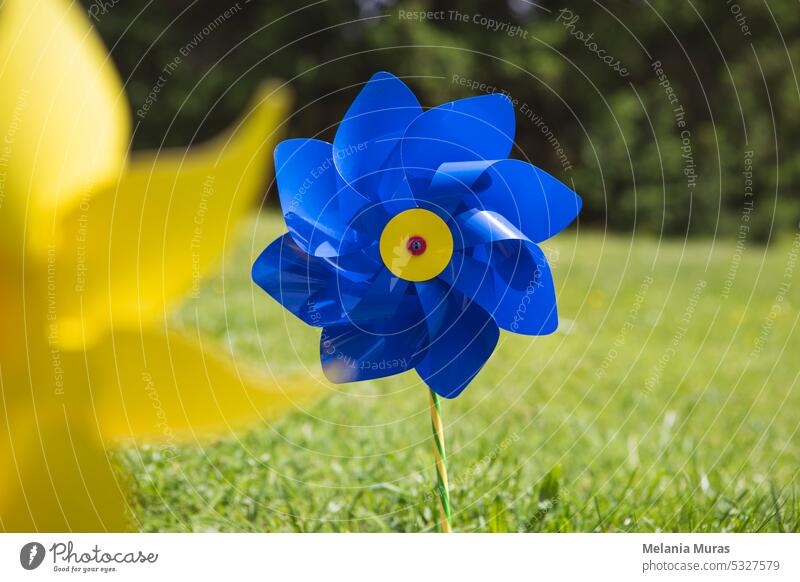 Close-up of blue toy windmill in the garden. Pinwheel on the meadow, green grass, summer time, childhood concept. air background carefree cheerful color
