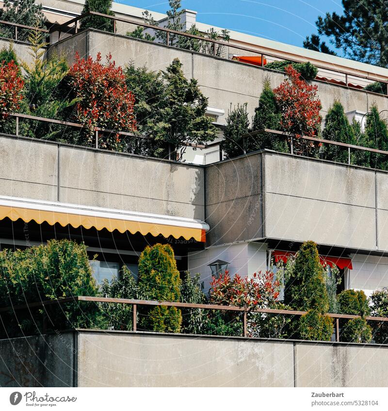 Colorful bushes bloom on the balconies of a housing complex from the 70s Balcony Balcony plant Concrete Green Red Idyll idyllically dwell be comfortable Old