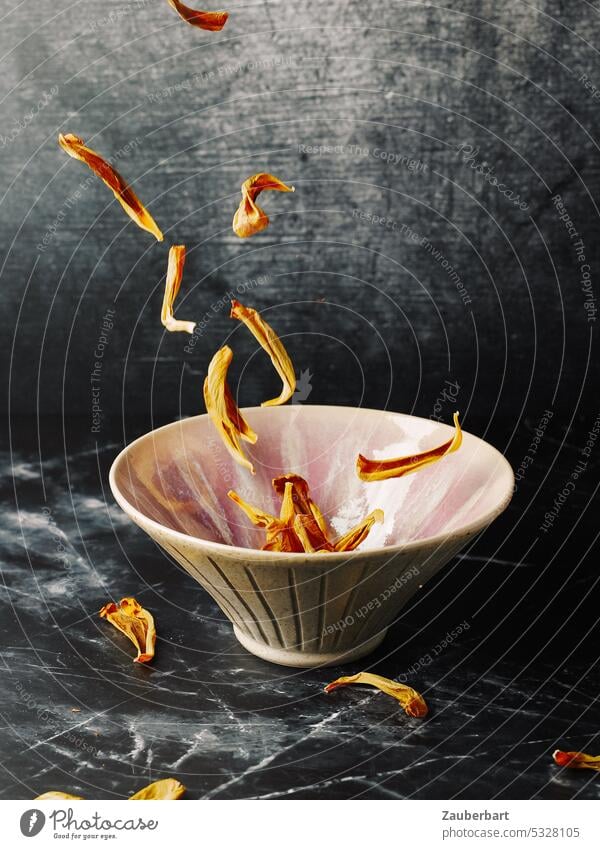 Petals of a tulip fall into a ceramic bowl Pottery shell leaves petals To fall Flying Trickle Still Life Do pottery Craft (trade) Creativity Arts and crafts