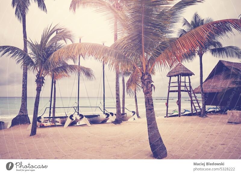 Retro color toned photo of a tropical beach, summer vacation concept. holiday retro sea travel vintage ocean nature sun sky beautiful coast tree palm paradise