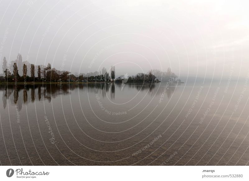 Reflections | Lake Constance Lifestyle Style Environment Nature Landscape Sky Climate Tree Lakeside Exceptional Moody Irritation Double exposure Horizon