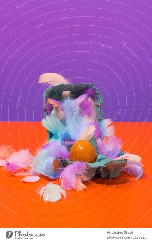 Container with egg and feathers in studio easter colorful bright chicken minimal container multicolored surface vivid box design tradition creative open orange