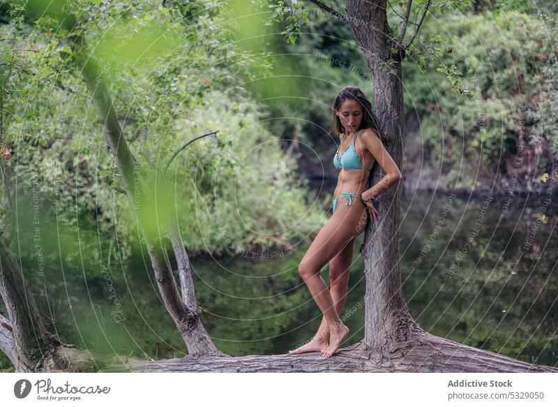 Relaxed woman leaning on tree trunk in forest lake calm nature vacation weekend summer female swimwear bikini woods tranquil young water peaceful harmony serene
