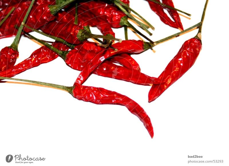 chillies Herbs and spices Fiery Husk Red Plant Chili Nutrition Food Tangy Spicy Burn heated hot pepper To enjoy Bite sharpness nutritious nourishing foodstuff