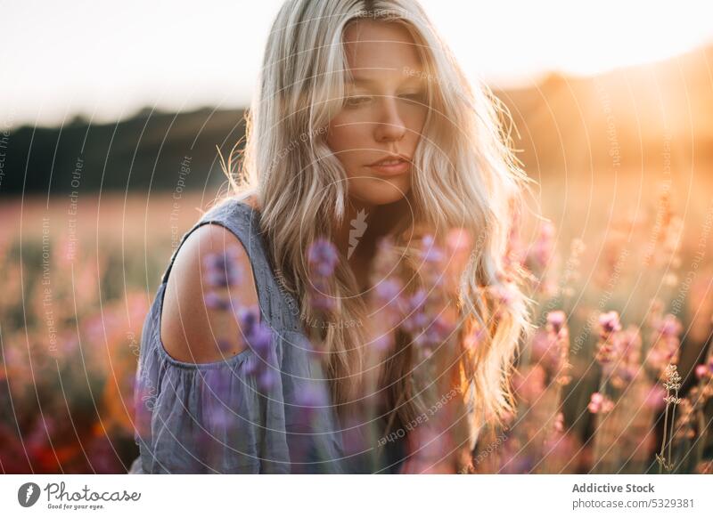 Young woman in field with flowers meadow evening enjoy bloom nature blossom sunset summer female romantic sundown calm harmony young flora dusk rest blond