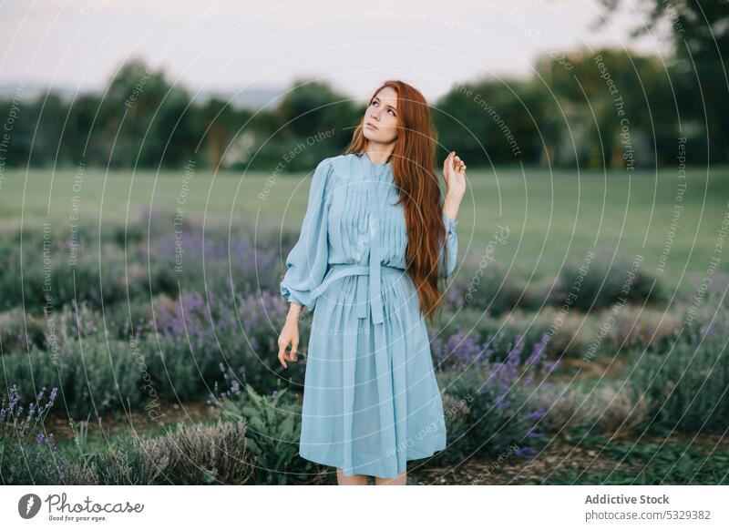 Carefree woman with red hair in field nature enjoy looking up dreamy carefree countryside freedom summer redhead female young wind bright harmony feminine
