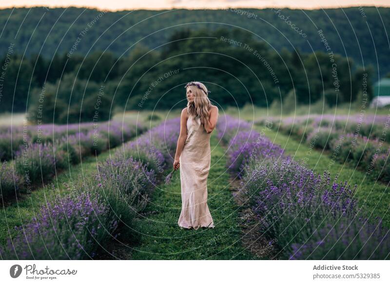 Woman standing in lavender field woman nature flower bloom blossom blond enjoy sunset floral meadow summer female harmony dress relax sundown rest evening