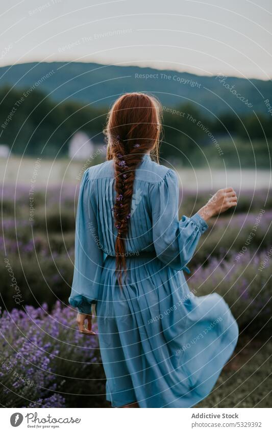 Anonymous woman in dress on meadow flower lavender nature blossom grass field plant bloom summer flora female harmony countryside red hair redhead aroma rest