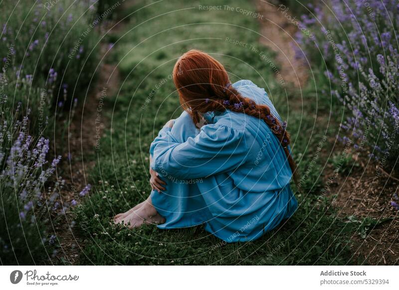 Anonymous woman in dress on meadow flower lavender nature blossom grass field plant bloom summer flora female harmony countryside red hair redhead aroma rest