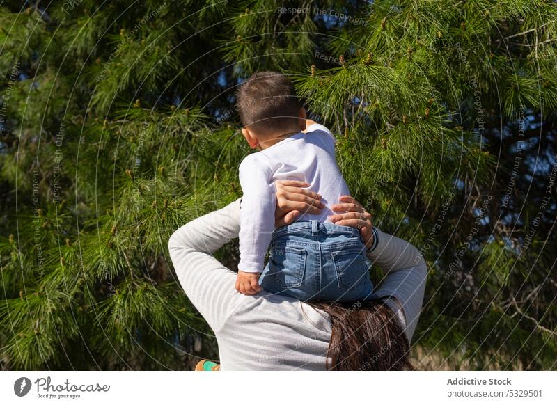Anonymous mother carrying son on shoulders in countryside woman boy touch coniferous tree branch nature explore kid toddler child cute cheerful childhood