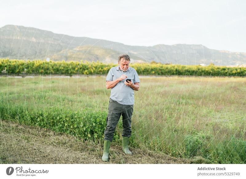 Serious mature man browsing on smartphone in countryside in sunlight farmer hill focus field using nature technology agriculture job male vegetate harvest