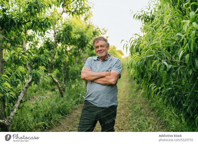 Delighted mature male farmer with folded arms standing in countryside man garden smile arms crossed plant agriculture small business portrait plantation