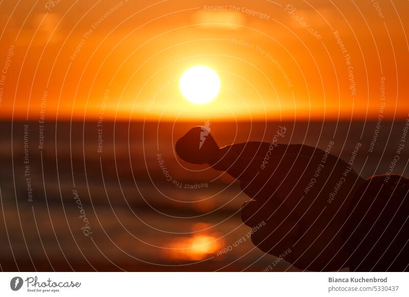 Sunset by the sea with silhouette of a hand holding a shell into the light. Sunset sea Sunset sky Sunlight Exterior shot Sky Landscape Nature Silhouette Evening