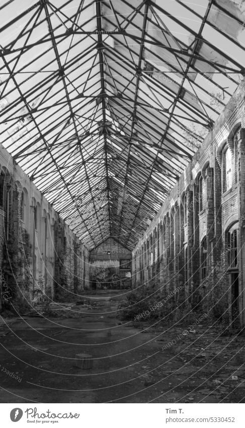 ein altes Industriegebäude in Leipzig 2014 s/w Ruined innen Germany Industry floor Black & white photo Architecture B/W b/w B&W Exterior shot Day Deserted Dark