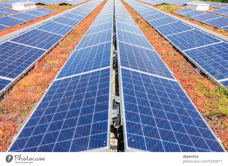 Solar symmetry photovoltaics Renewable energy Solar Energy photovoltaic system Energy industry Solar Power Sustainability Energy generation sustainability