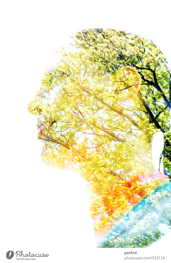 photographic art Human being Feminine Woman Adults Head 1 30 - 45 years Art Tree Twigs and branches Beautiful Multicoloured Double exposure Interesting