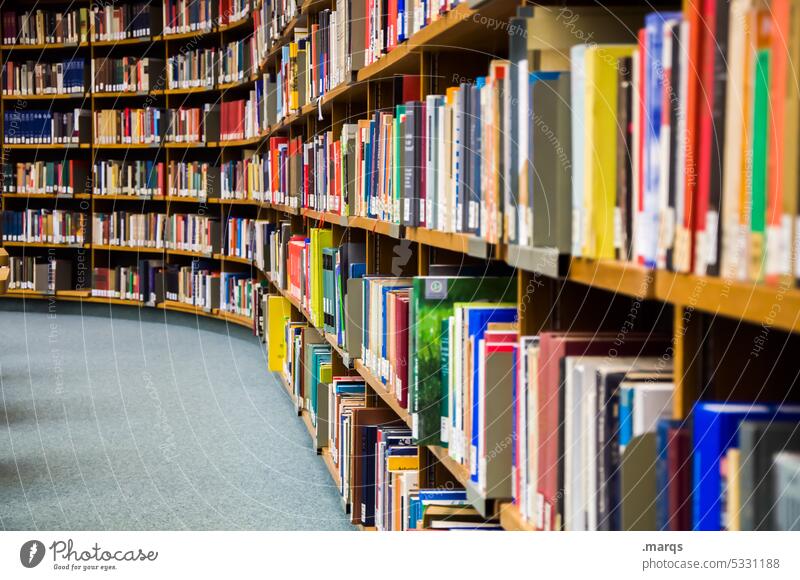 library Library Academic studies books Bookshelf Reading Education Know Information Study Wisdom book collection Science & Research Reading matter Literature
