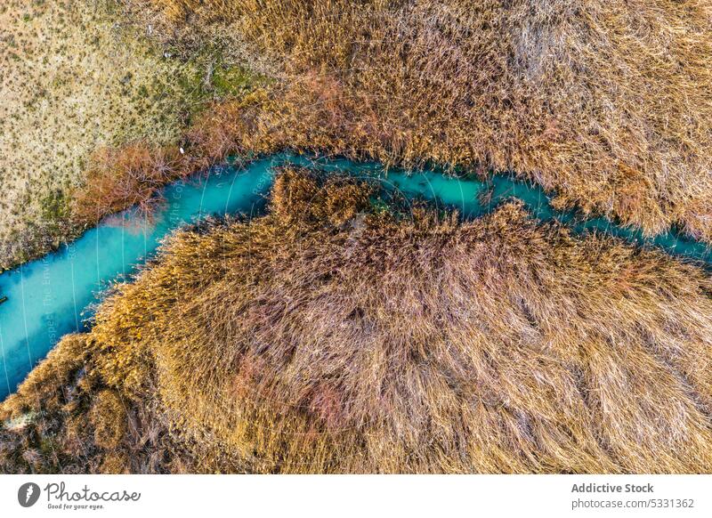 Curvy river flowing amidst dry trees in nature forest autumn creek landscape spectacular scenery woods fall picturesque turquoise wild peaceful breathtaking