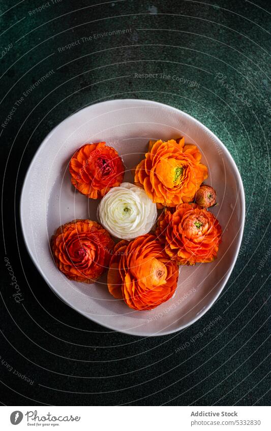 Interior decoration with bowl full of Ranunculus flower blossom after the rain aromatic background beautiful bloom bud card close up daytime dew flora floral