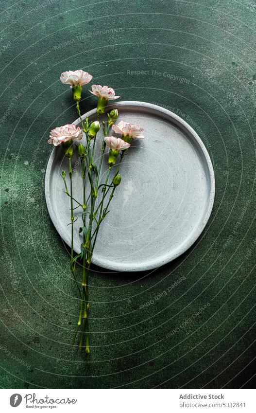 Table setting with seasonal flowers on concrete background carnation table beautiful ceramic daytime dinner dinnerware eat eating festive floral food holiday