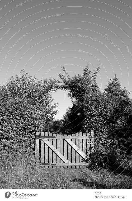 gray in gray | stories from the fence .131 Garden garden door Fence bushes Gray sunny Shadow Summer Sky Entrance Way out Meadow