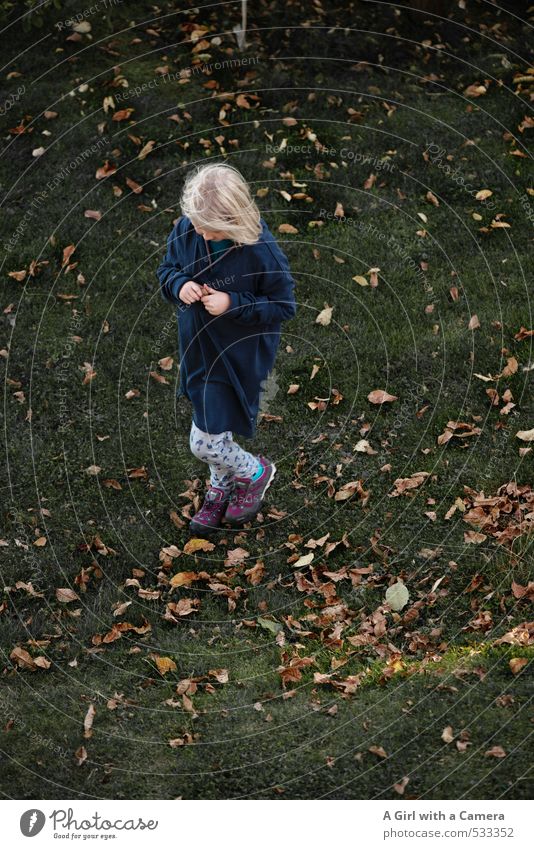 deep in thought Human being Feminine Girl Autumn Leaf Garden Meadow Playing Think Downward Subdued colour Exterior shot Copy Space bottom Day