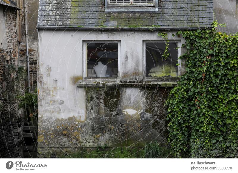 façade Facade facade climber Old Water by the water houses Vantage point travel voyage Tourism Discover Sadness dilapidated back wall Lifestyle Set Small Town