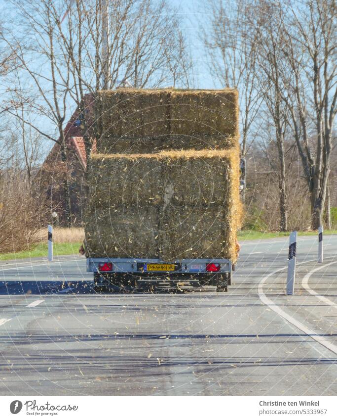 There it goes, the needle in the haystack Hay Hay bale Animal feed bedding Country road Transport straw bales Bale of straw Trailer Transporter Straw