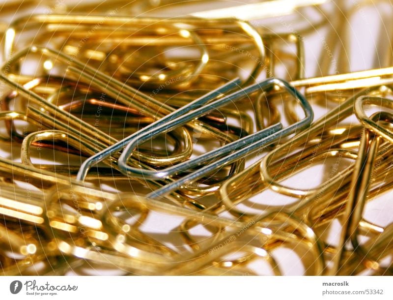 Paperclips in gold Paper clip Heap Chaos Close-up Gold Silver Noble Bright background Macro (Extreme close-up) Work and employment Business