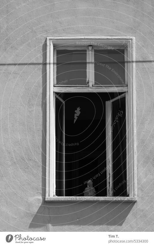 an open window with a small statue Window Open b/w Berlin Middle Exterior shot Town Deserted Downtown Architecture Black & white photo Day Capital city