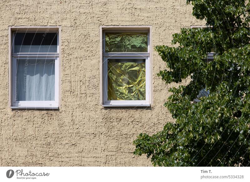 Windows with sunshade Berlin sun protection Tree Facade House (Residential Structure) Architecture Building Deserted Town Exterior shot Capital city Downtown